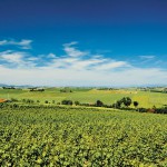 cantina-la-spina-panorama