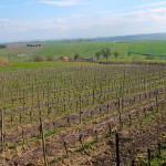 03mar_DSCF4545