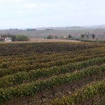 11nov_DSCF8083